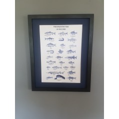 Framed Fishing Record Print
